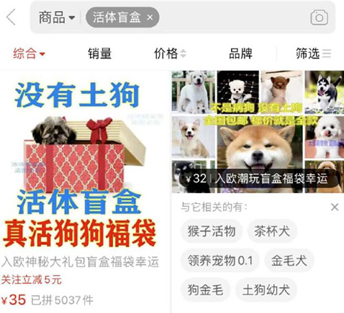 A screenshot shows a store advertising pet "blind boxes" on an e-commerce platform. From @天眼新闻 on Weibo