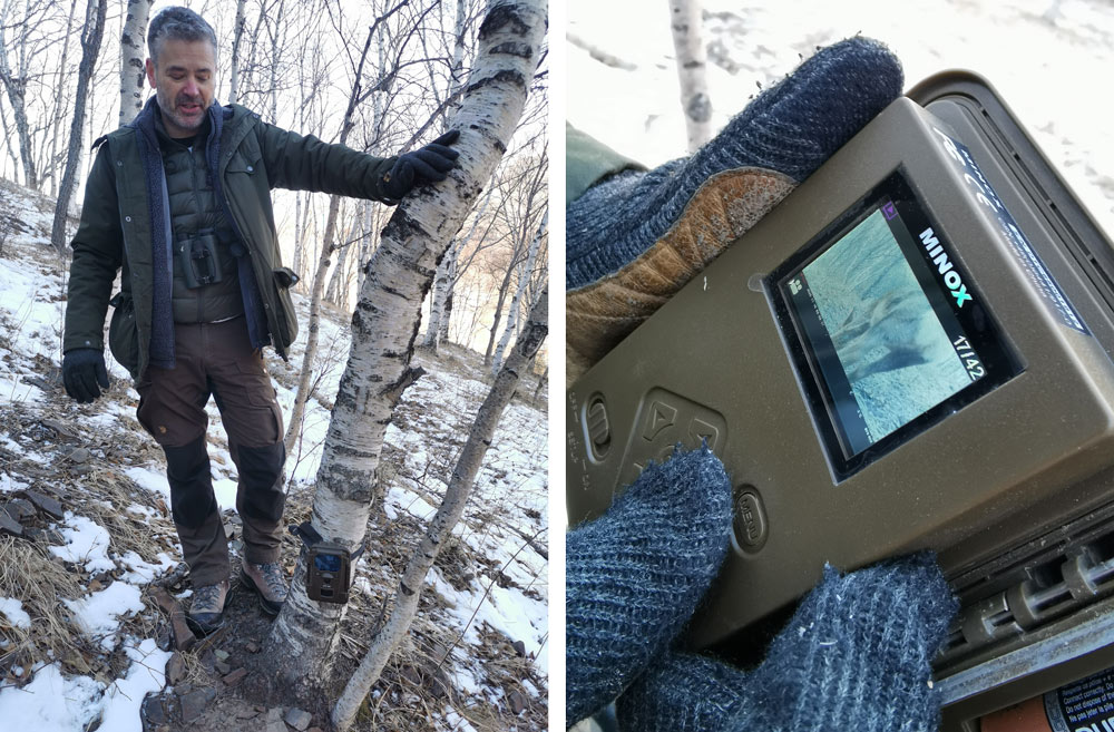 Left: Terry Townshend stands next to an infrared camera trap he set up at Mount Ling in Beijing; Right: A roe deer caught by the infra red camera trap. Li Pasha for Sixth Tone