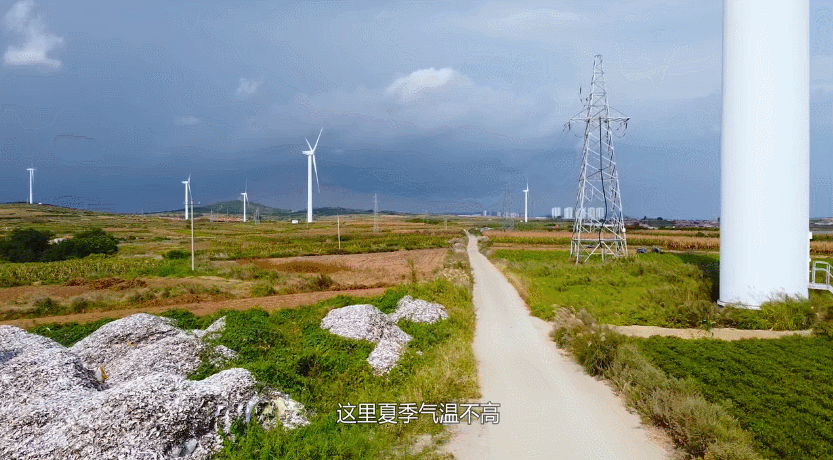 Wind farm in Rushan, Shandong province. From Pan Deng video