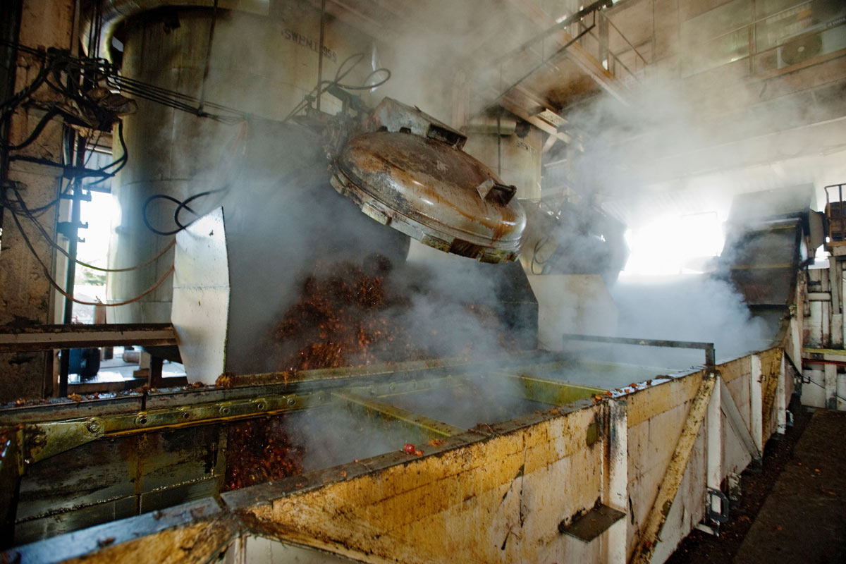 Raw materials being processed and crushed to extract palm oil. Scubazoo/Alamy