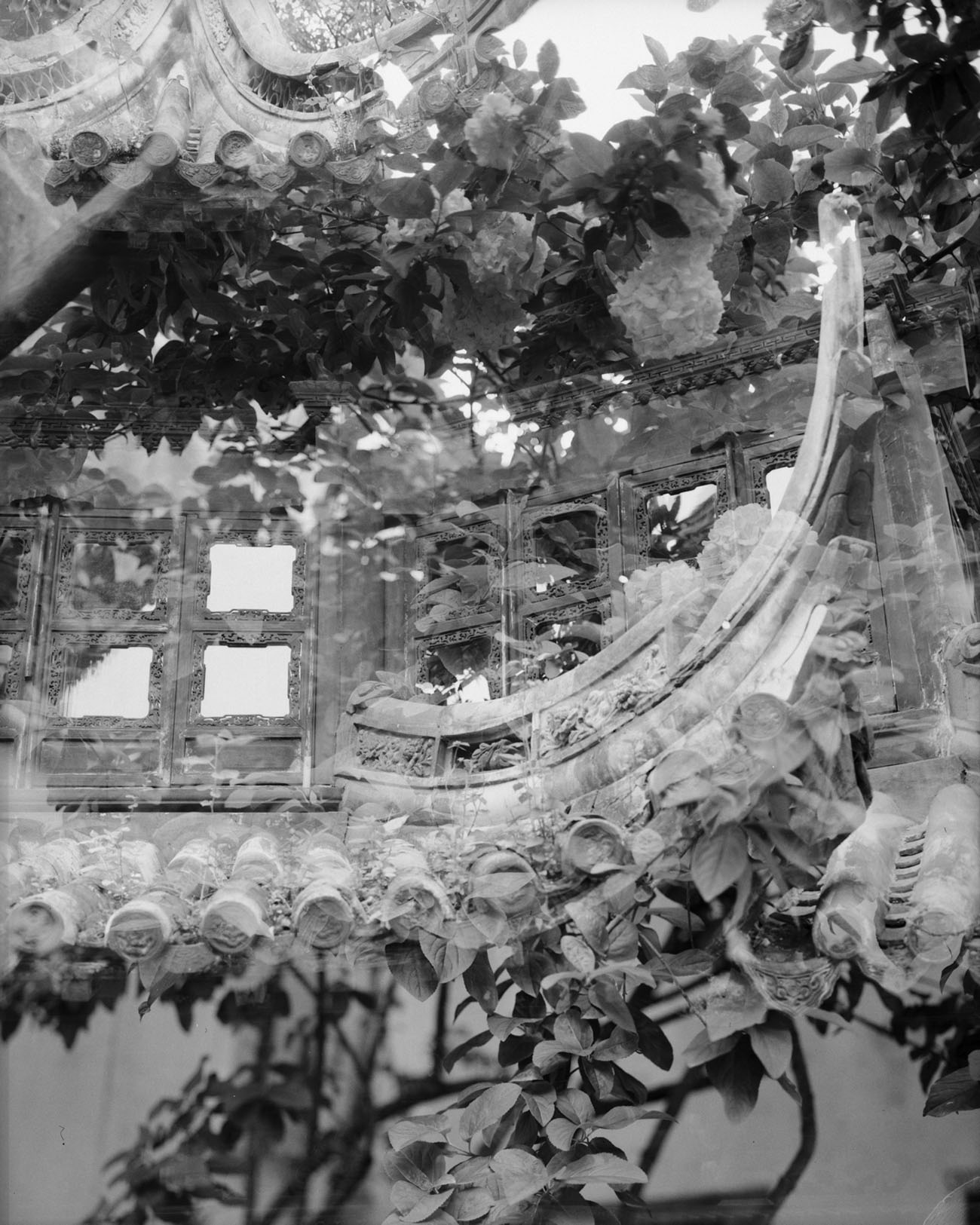 Yu Garden, from the series “Faërie.” Courtesy of Zhou Yang