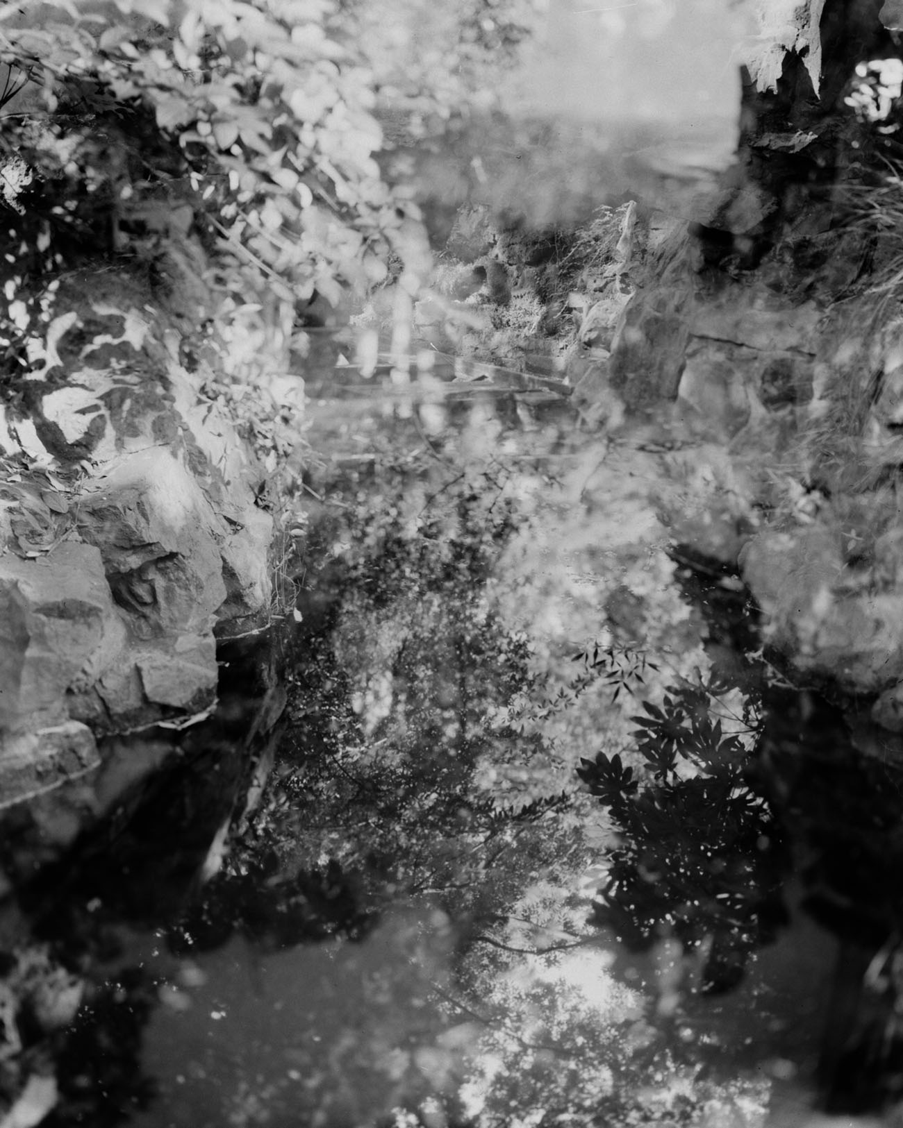 Qiuxia Garden, from the series “Faërie.” Courtesy of Zhou Yang
