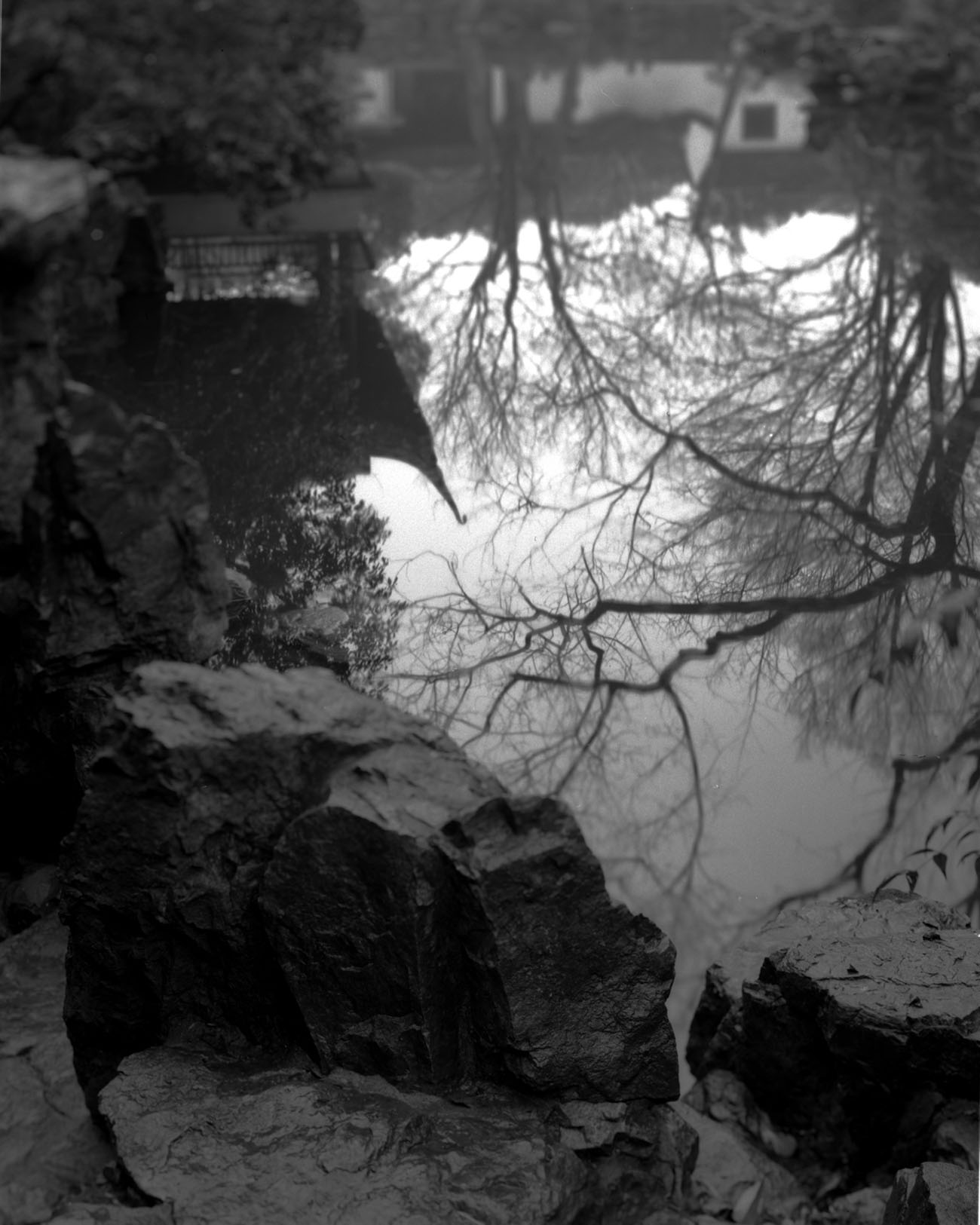 Qiuxia Garden, from the series “Faërie.” Courtesy of Zhou Yang