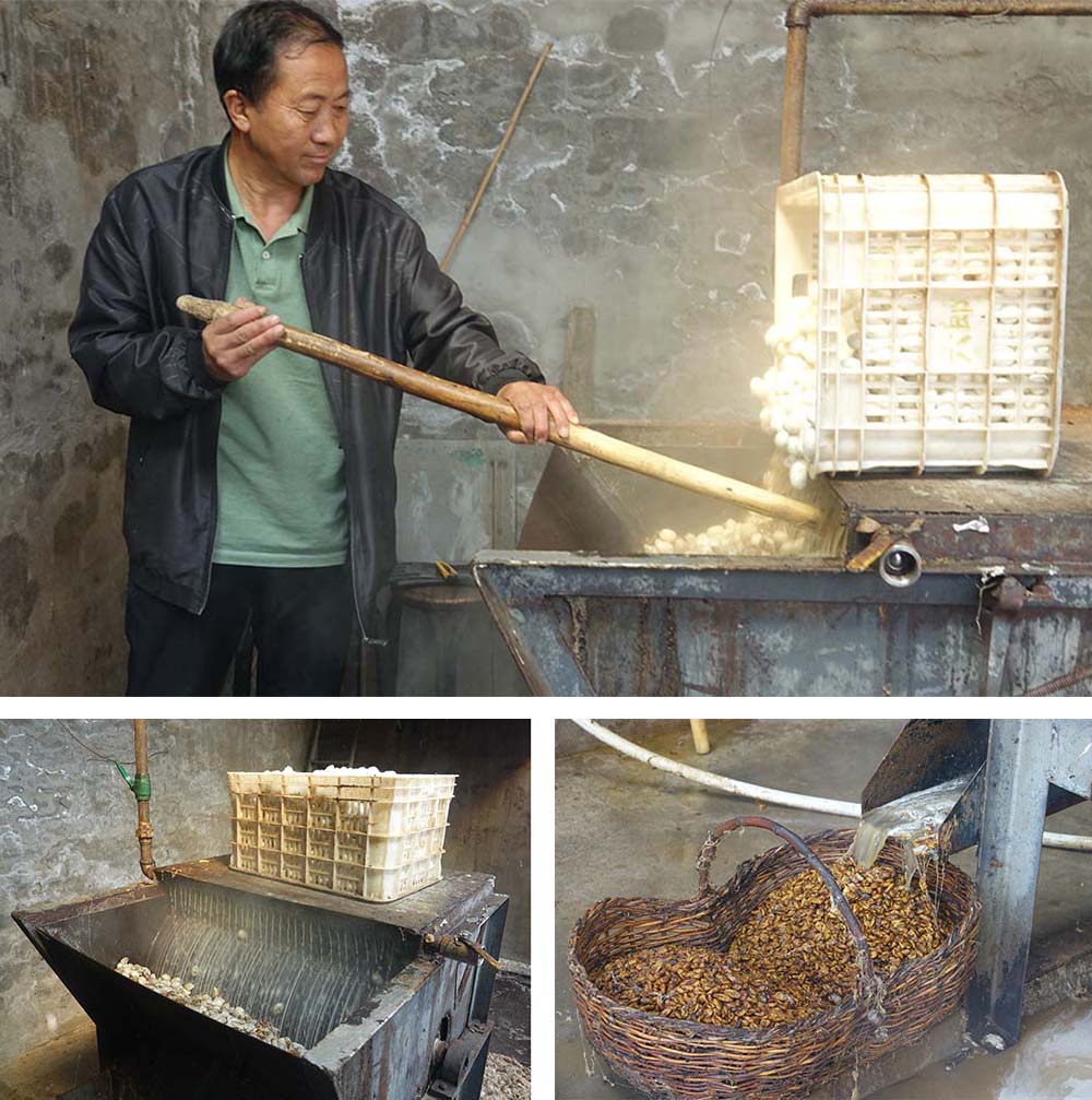 Above: The silk factory owner, Zhang Wurong, feeds cocoons into a silk-reeling machine, in Yulin, Shaanxi province, Sept. 20, 2022; bottom left: The silk-reeling machine processes the cocoons into silk cloth; bottom right: Worms get flushed out of the machine along with the wastewater. Wu Peiyue/Sixth Tone
