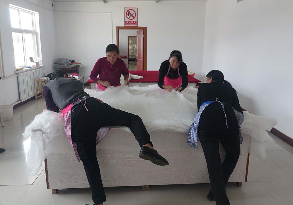 Workers fluff silk cloth to make quilts at Zhang’s silk factory, in Yulin, Shaanxi province, Sept 20, 2022. Wu Peiyue/Sixth Tone