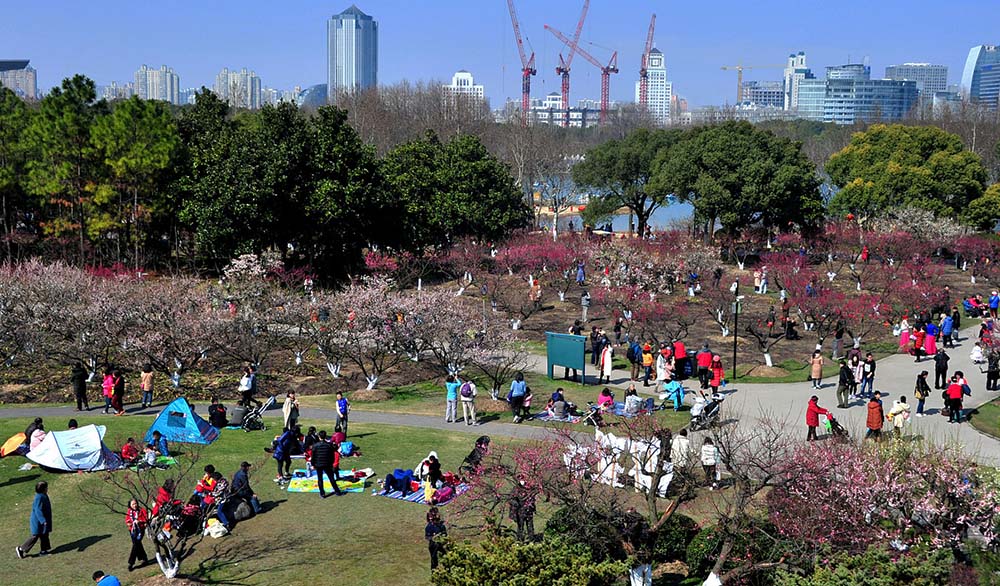 A view of Century Park in Pudong New Area, Shanghai, Feb. 24, 2019. VCG