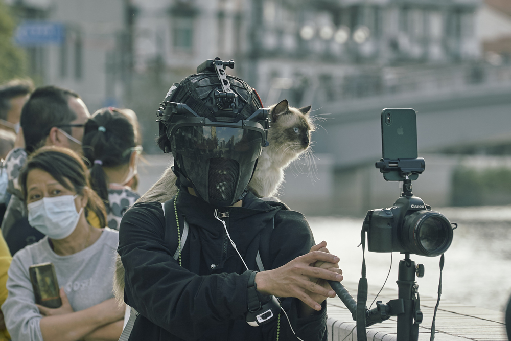 Liang livestreams the second edition of the Head of Shanghai River Regatta with his cat, Li Bai, from the bank of the Suzhou Creek, Oct. 29, 2022. Wu Huiyuan/Sixth Tone