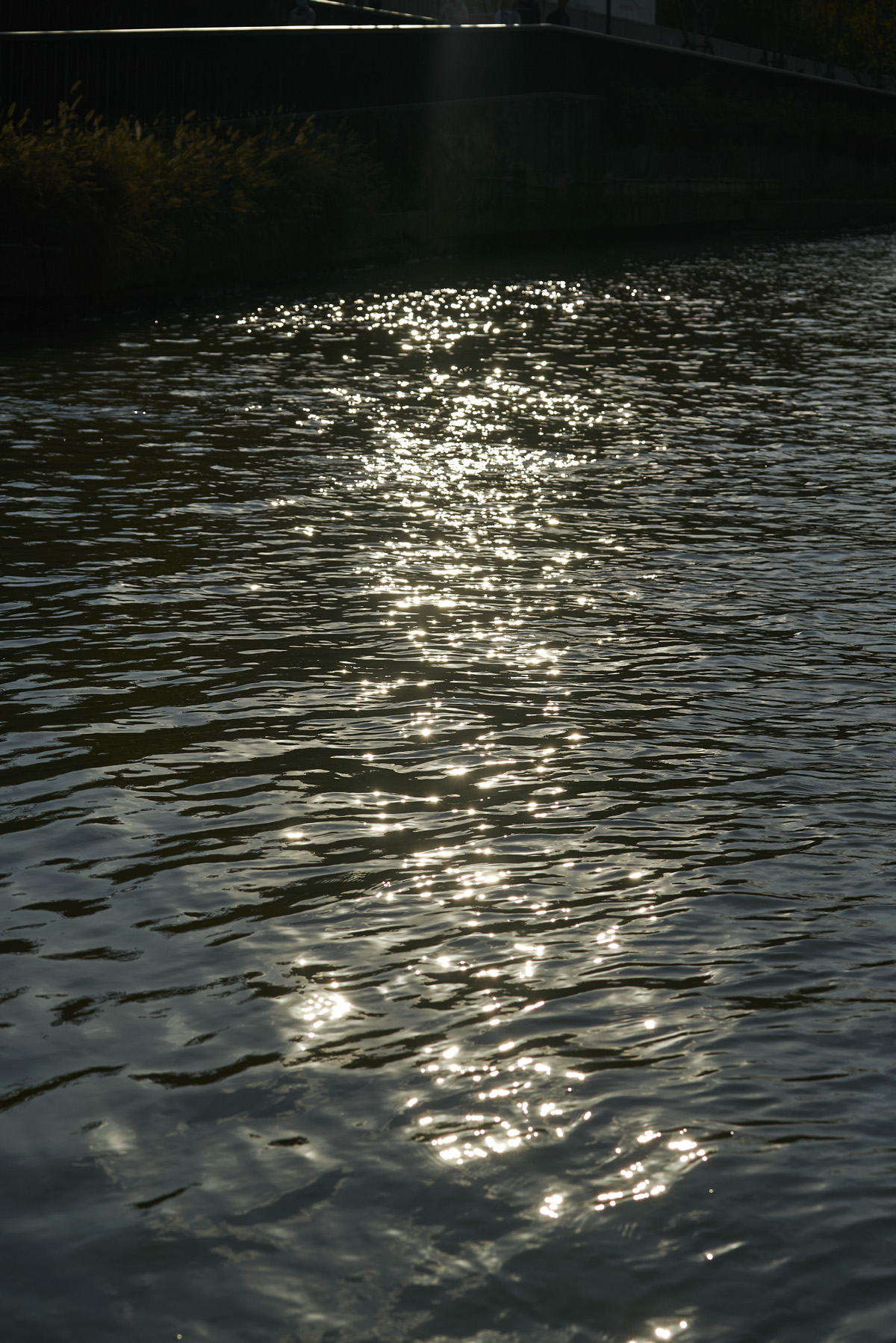 The sunlight shines on the Suzhou Creek, Oct. 24, 2022. Wu Huiyuan/Sixth Tone