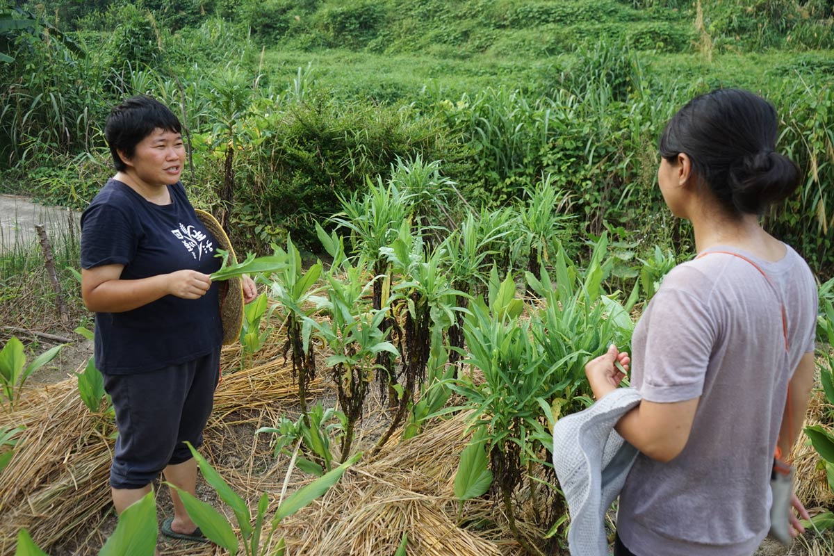 A Food Think member (right) talks to a farmer during their field study, 2022. Courtesy of Food Think