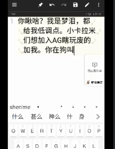 A screenshot of Menglei typing on Oct. 21, 2022. From the Weibo account of Liu’s daughter