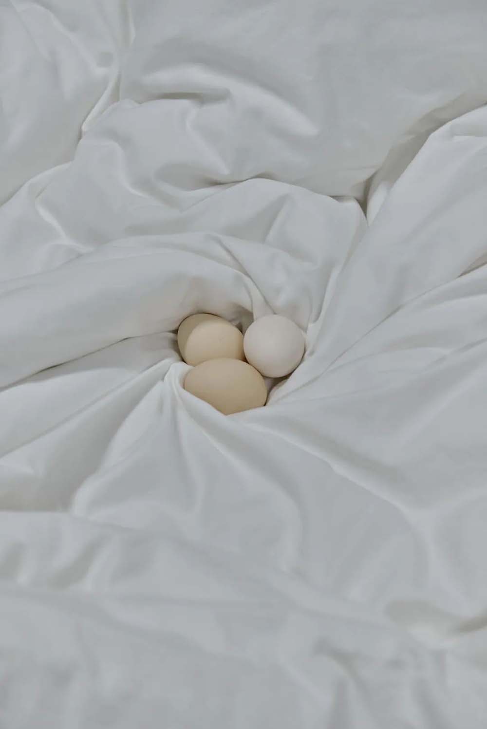 ‘Eggs in a Warm Bed’ by Chen Yu. Courtesy of Meng