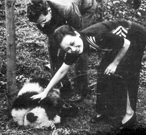 Soong Mei-ling poses with a panda. From shanghai1937.com