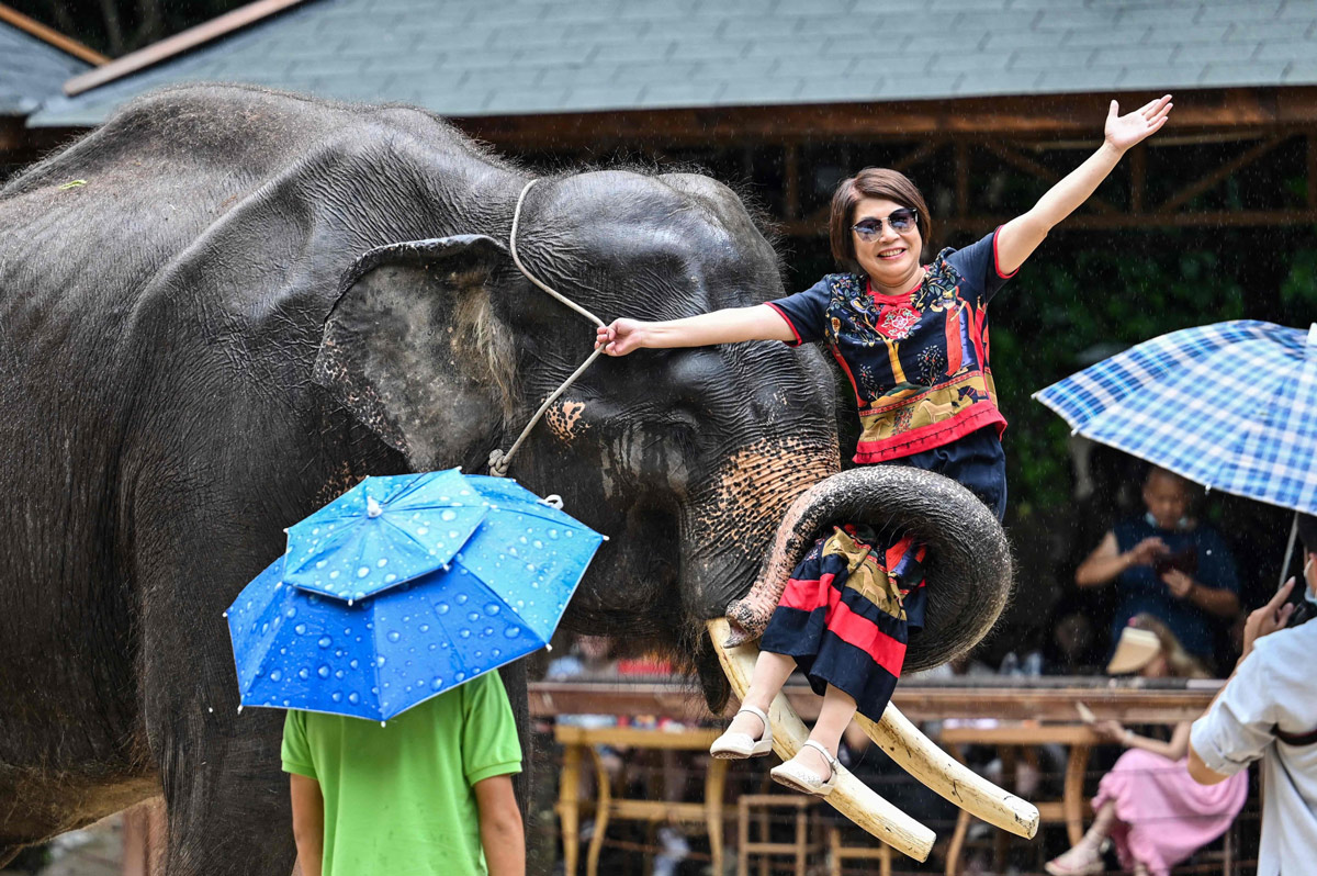 A woman poses for a photo with an elephant at Wild Elephant Valley in Xishuangbanna, Yunnan province, July 21, 2021. Hector Retamal/AFP via VCG