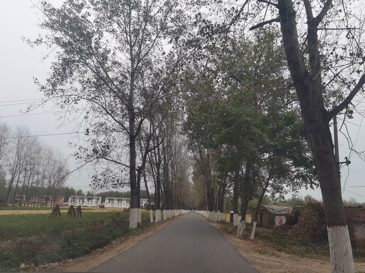 An empty village in rural Henan province, 2022. Xianwei Story