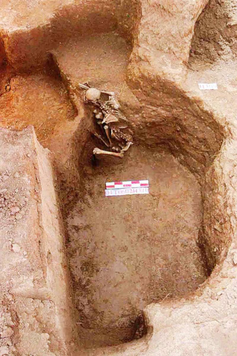 A skeleton in pit H310 at Yinxu. Its legs have been severed. Courtesy of Li Shuo