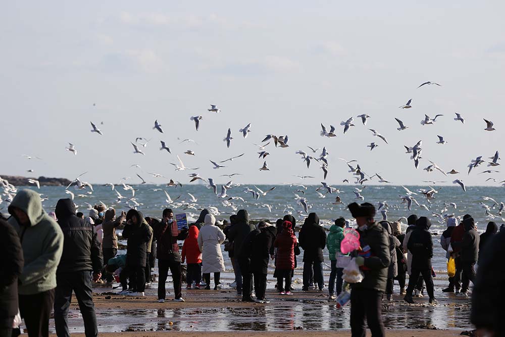 Tourists feed seagulls at a scenic spot in Qingdao, Shandong province, Jan. 25, 2023. VCG