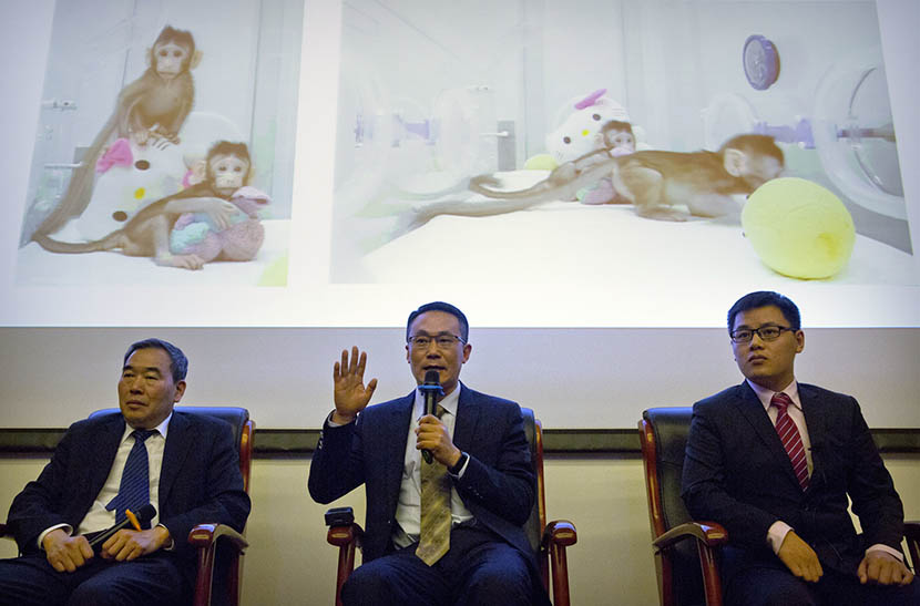Sun Qiang (center), director of the Institute of Neurosciences’ nonhuman primate facility, speaks during a press conference at the Chinese Academy of Sciences in Beijing, Jan. 24, 2018. IC