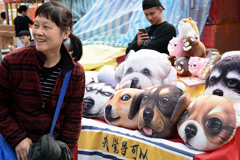 A woman poses for a photo with dog-pattern pillows in Hong Kong, Feb. 11, 2018. IC