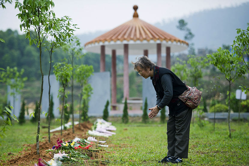 A woman bows to her relative’s remains during a tree burial ceremony in Dongguan, Guangdong province, April 24, 2014. VCG