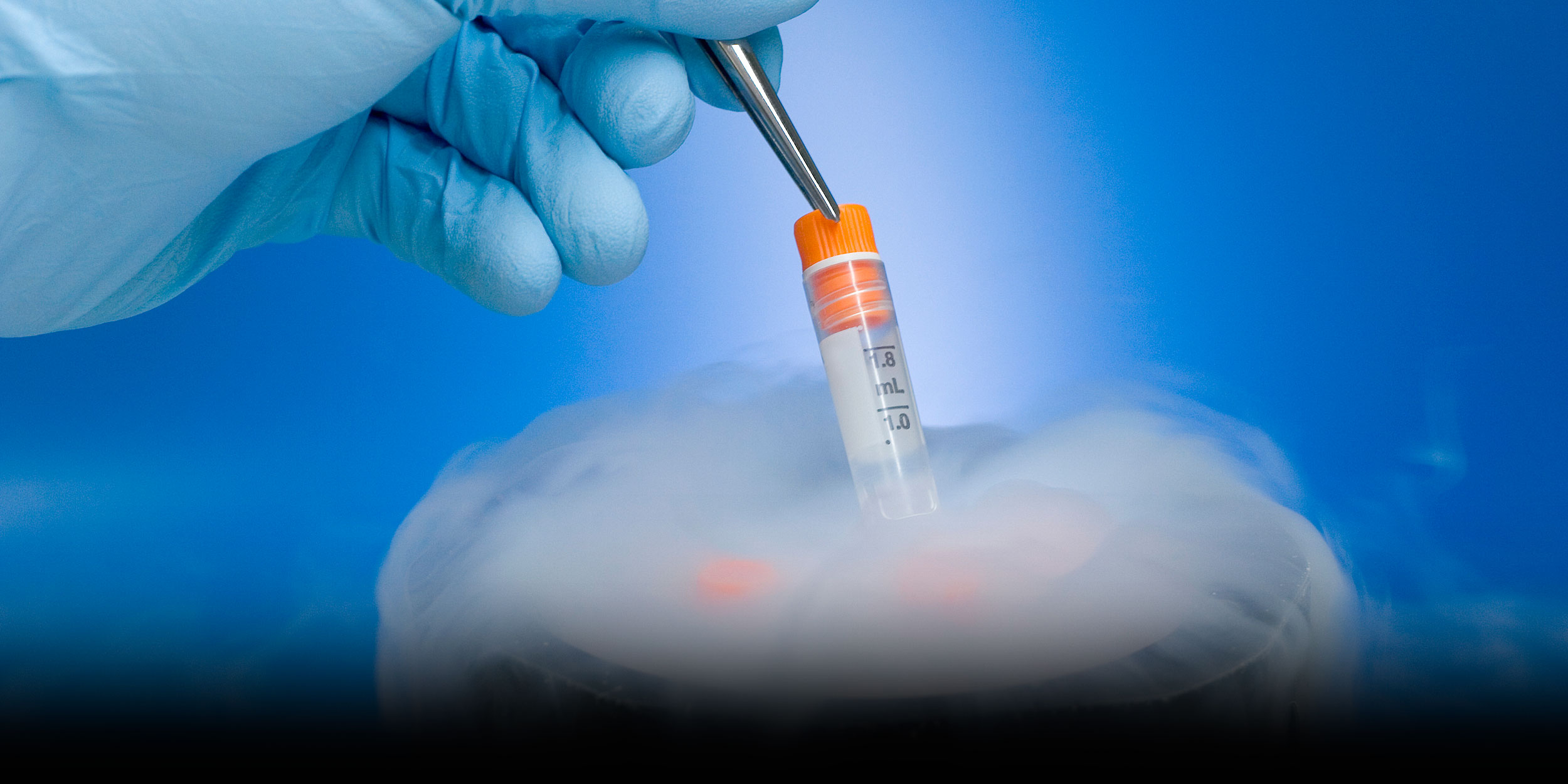 Beijing Court Lets Widow Use Embryos Created With Late Husband