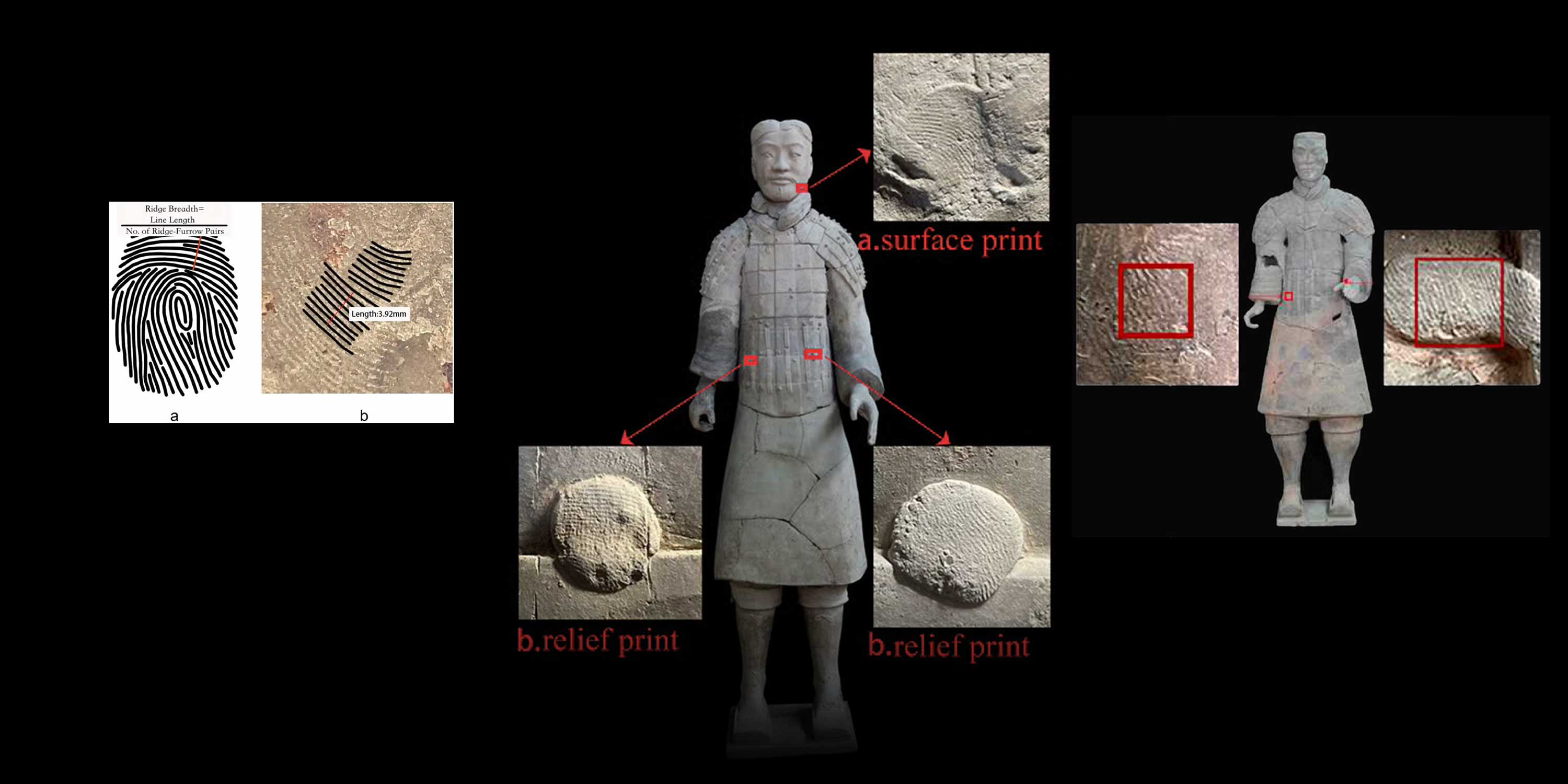 Women, Teens Helped Build Terra-Cotta Army, Chinese Study Says
