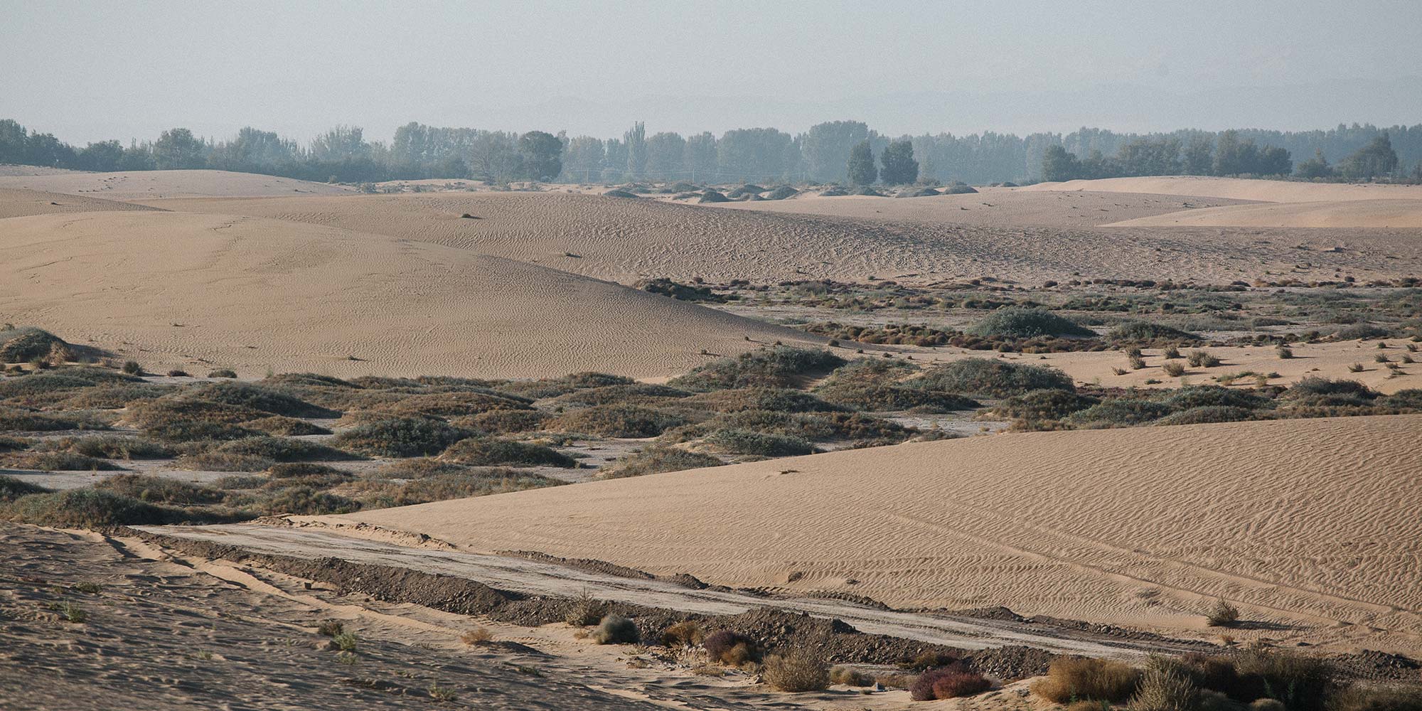 Saving the Great Oasis from Desertification