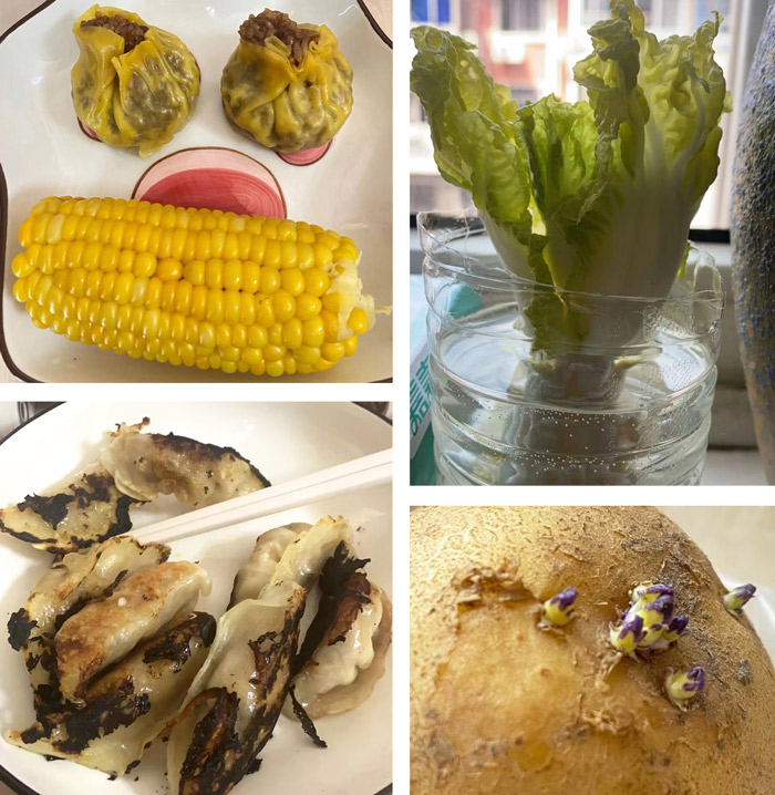 Photos of frozen food Yi Yu cooked and some of her vegetables, 2022. Courtesy of Yi Yu
