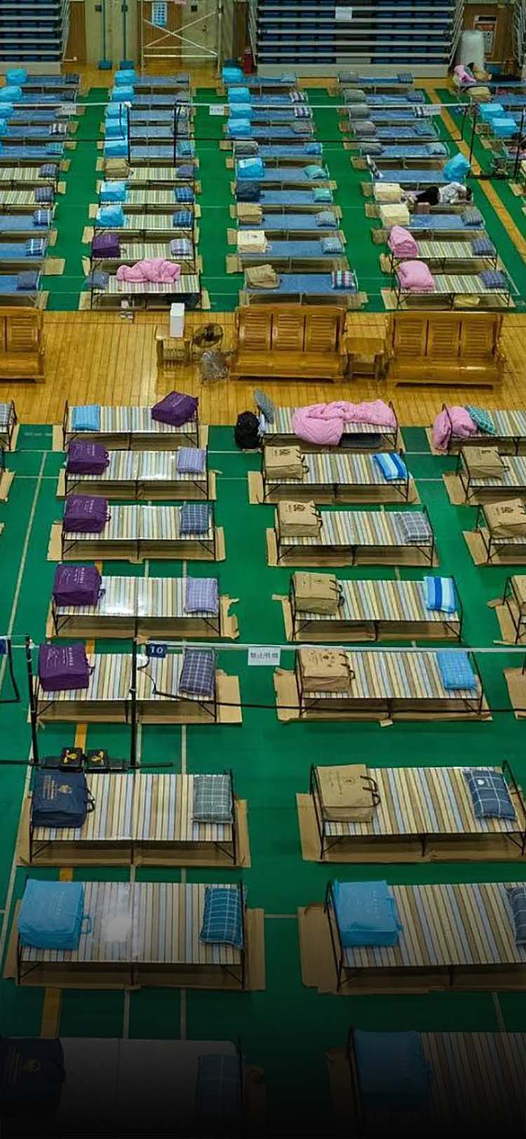 Cots Waystation at Louis Martin blog