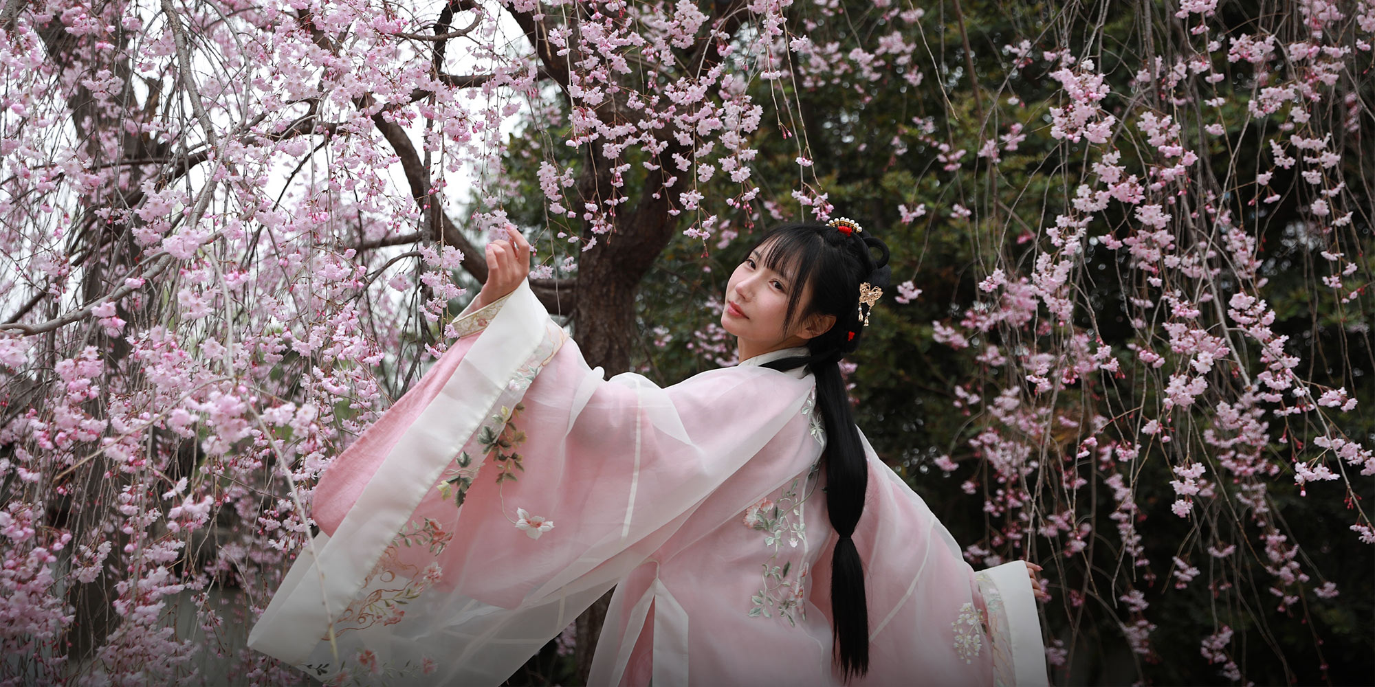 DC Cherry Blossom Festival Moved up to Mid-March Due to Warm Winter