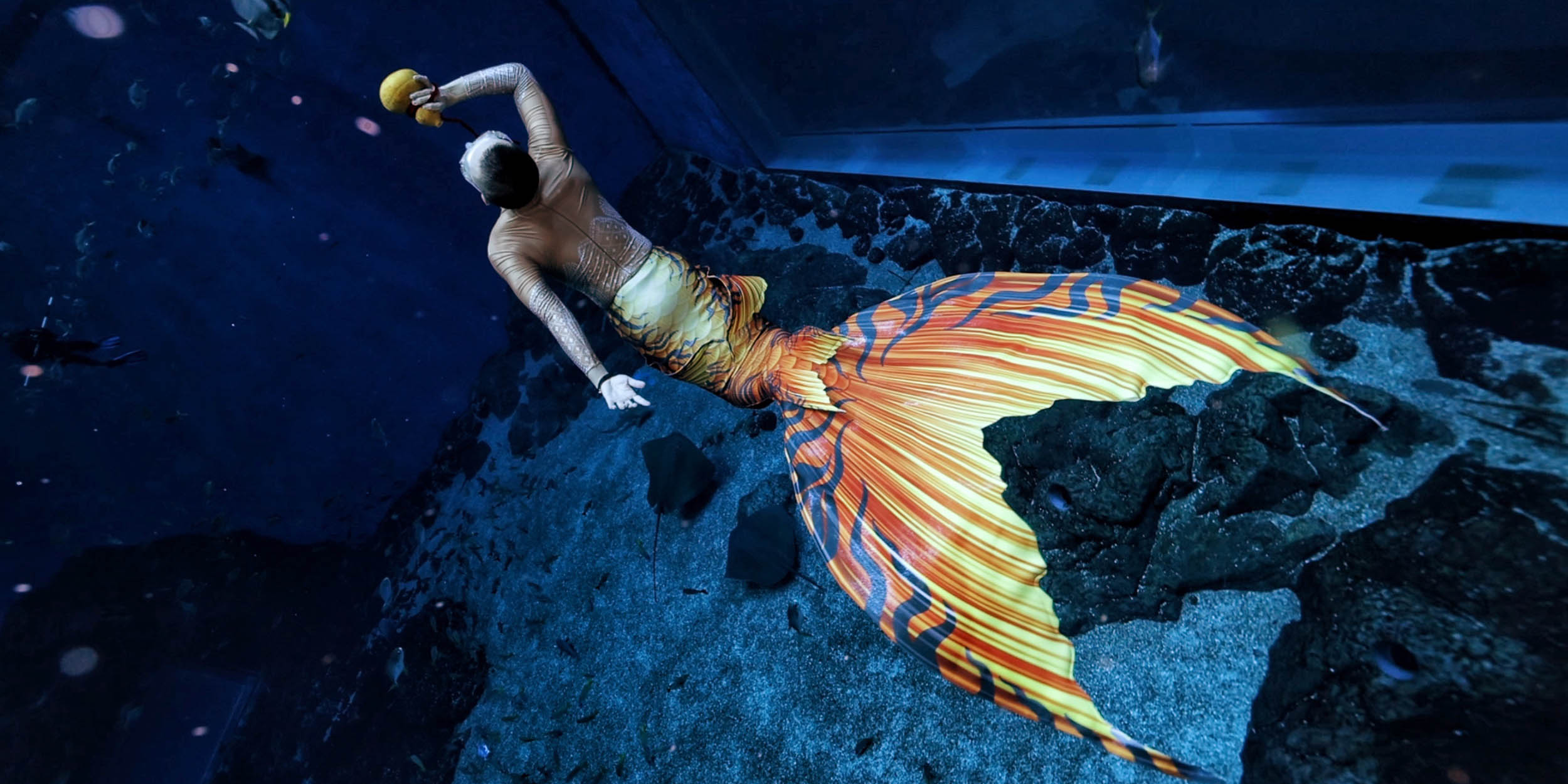 In China, Male Mermaids Are Making Waves thumbnail