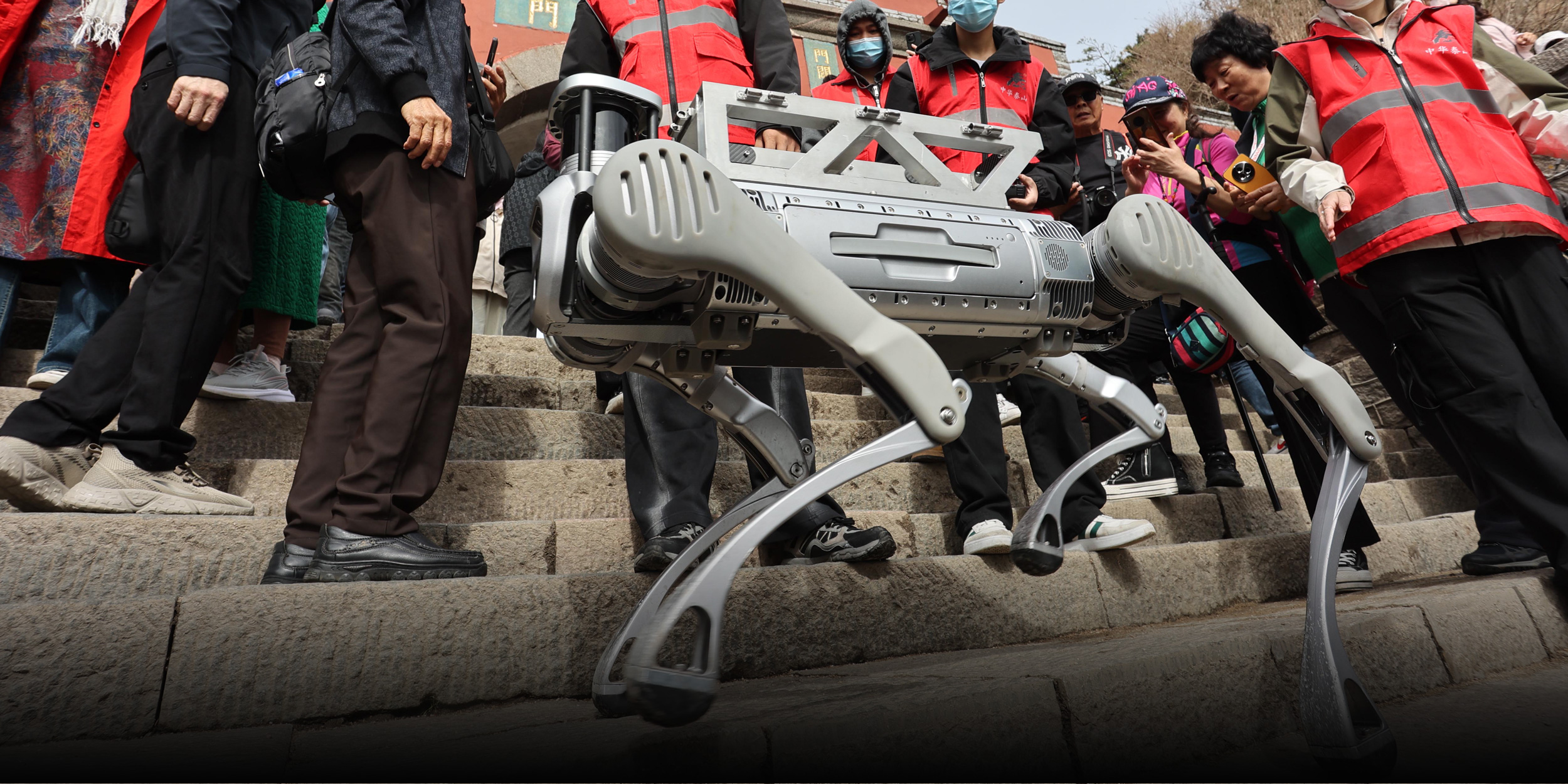 China’s Solution for TrashStrewn Mountains Robot Dog Porters