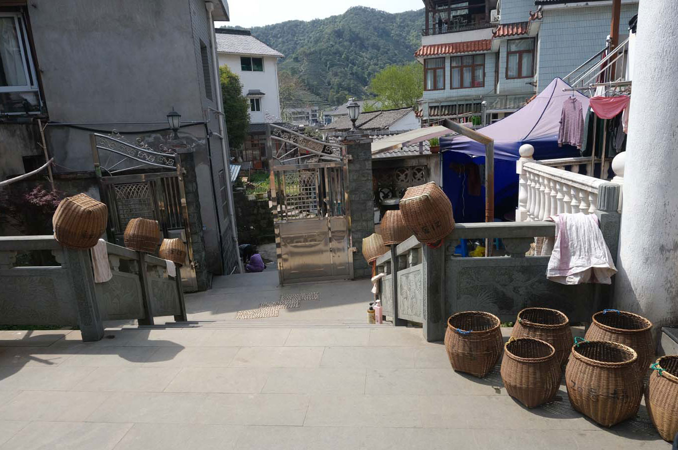 Bamboo baskets hang in the courtyard of Zhu Xiaoqing’s home in Meijiawu, ready for the next round of picking.