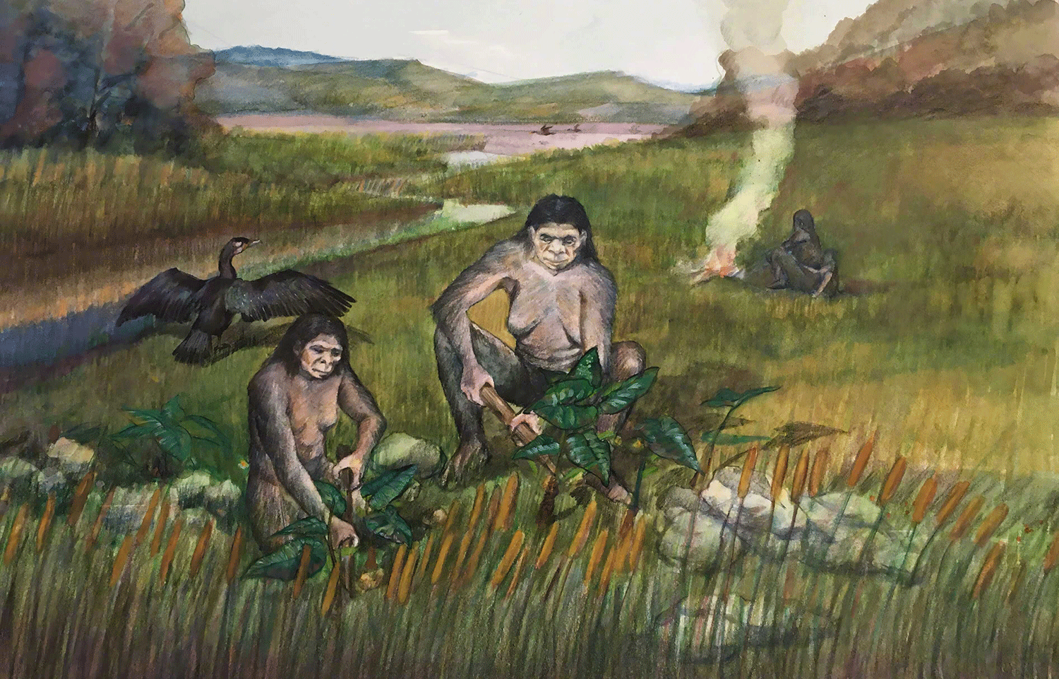 Jeika jones of she seemed friendly if reserved while had