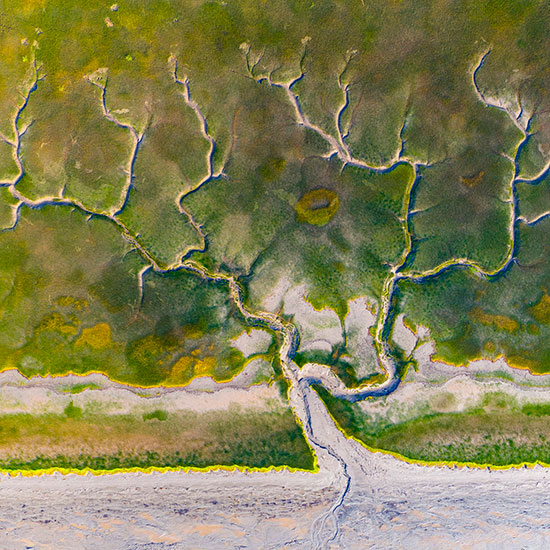 Marsh Color Water Colors