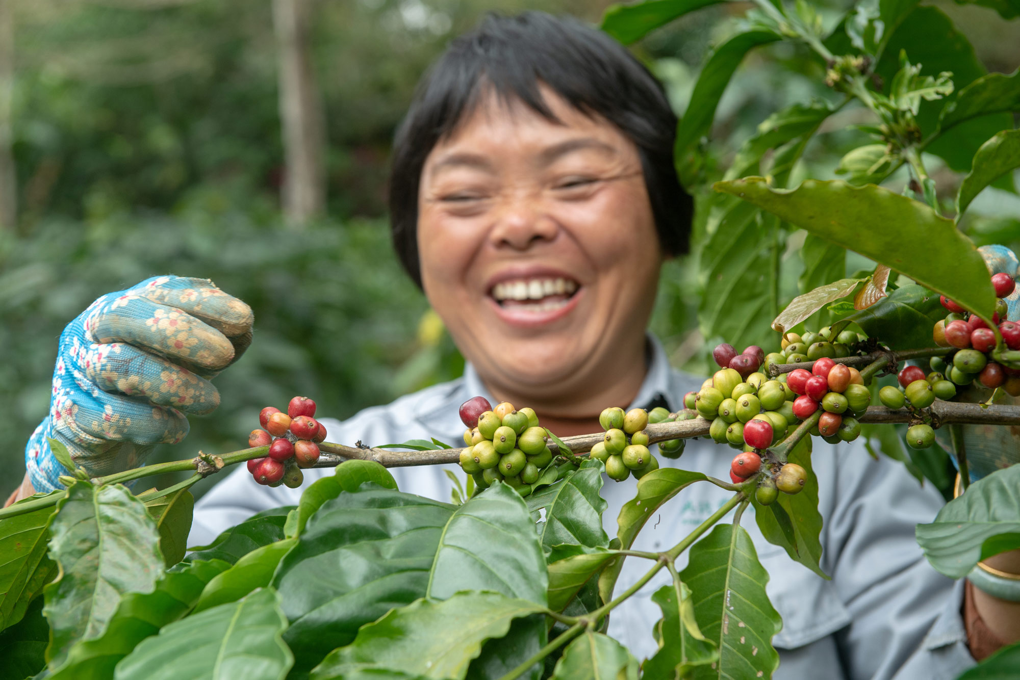 A Coffee of Exile and Memory Comes Home to Hainan