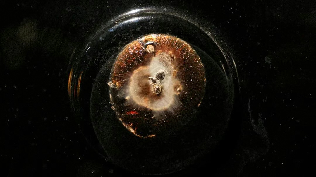 Câu chuyện về nghệ thuật tư nhân ở đất nước tỷ dân: Khi bảo tàng chật vật tìm đường sống giữa cơn khát tài chính