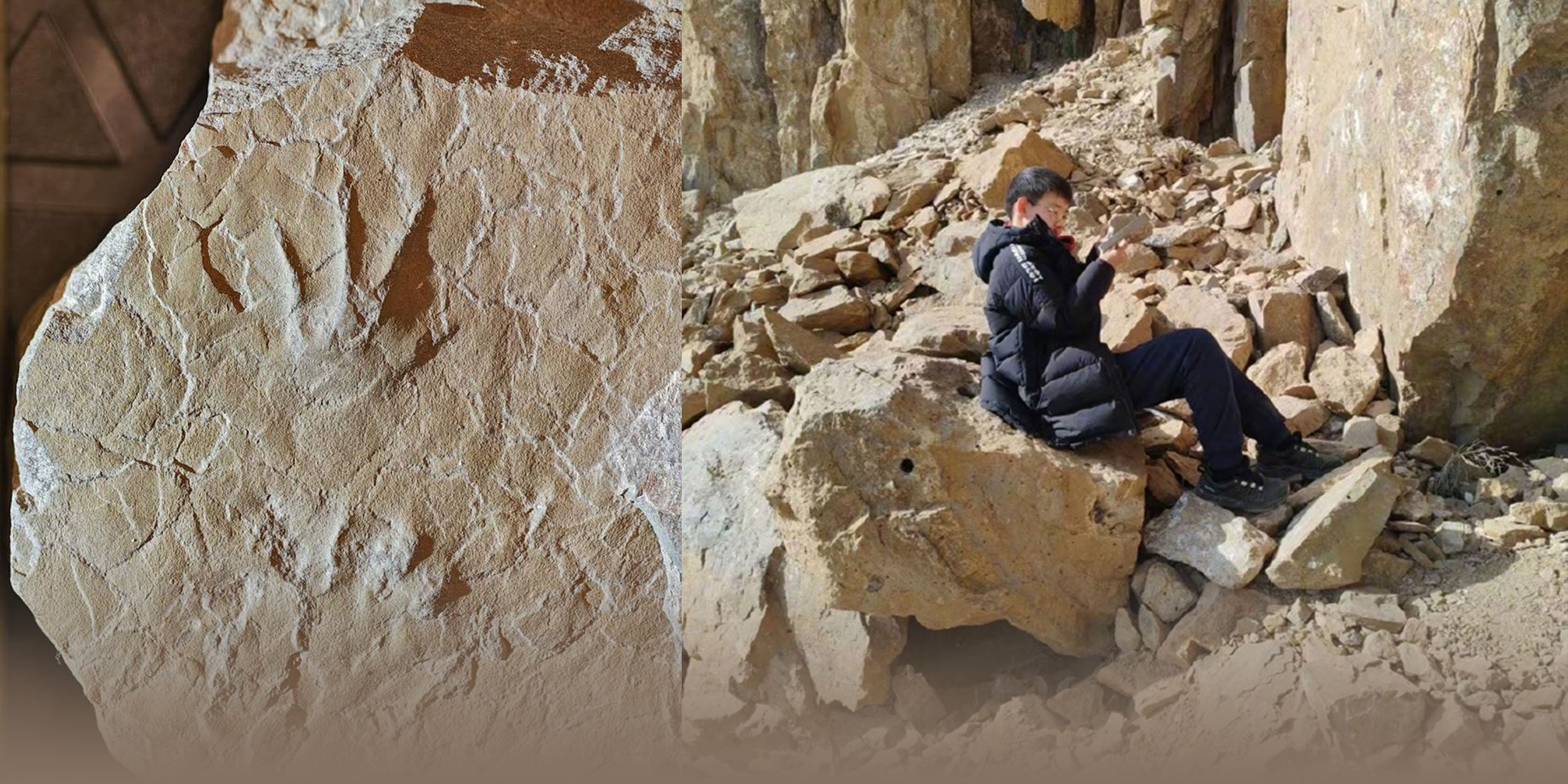 12-Year-Old Finds Asia’s First Jurassic Amphibian Footprint