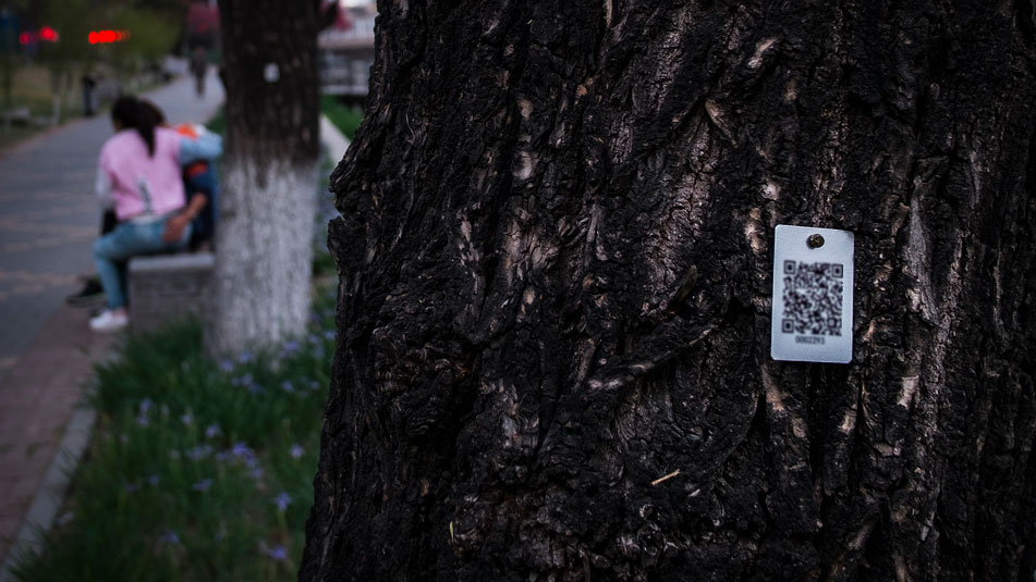 Scan Scam: Criminals Redirect China’s Public QR Codes to Porn