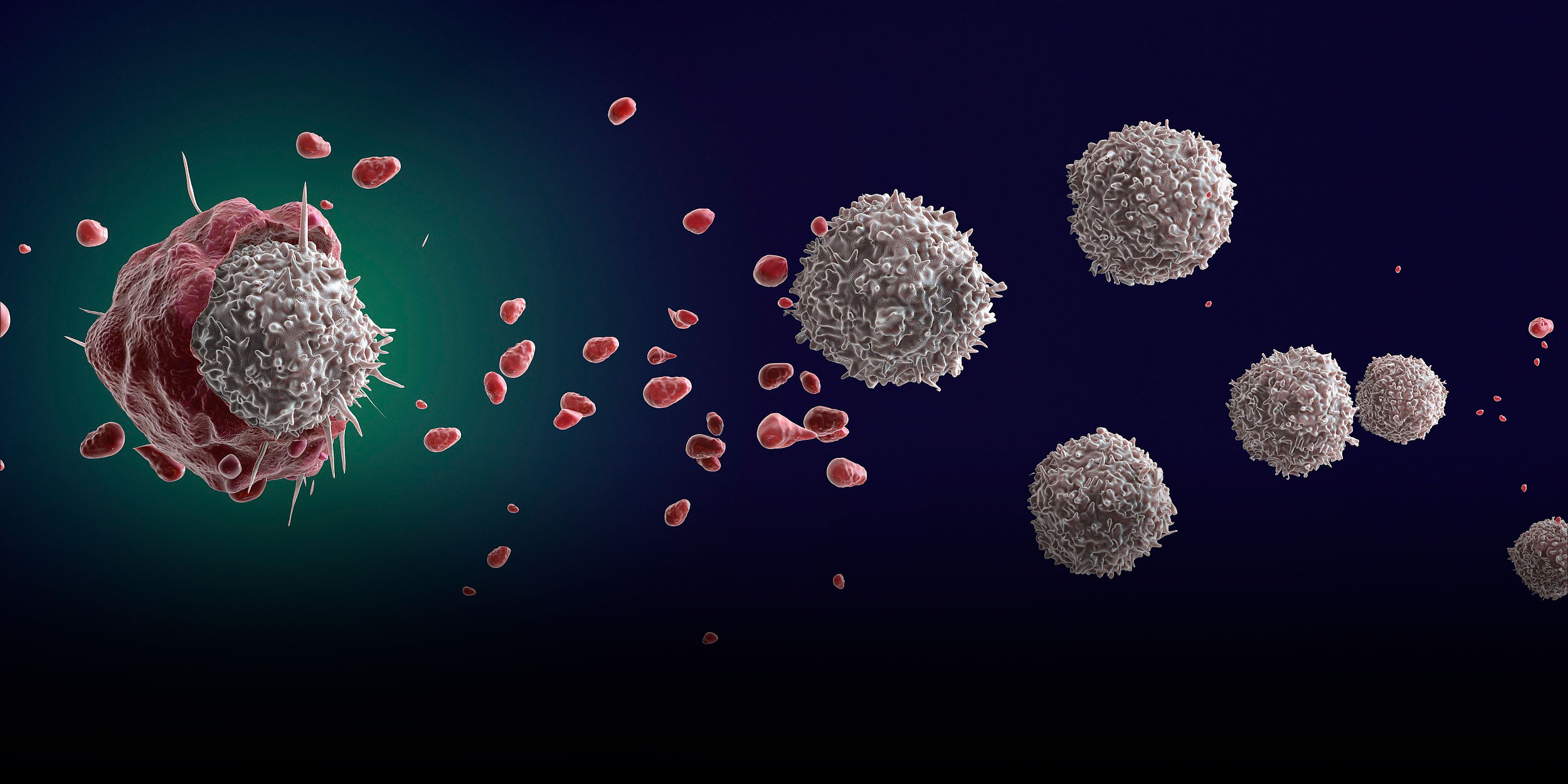 Eating Less Reduced Breast Tumors in Mice, Chinese Study Finds